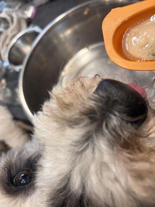 He could hardly wait!