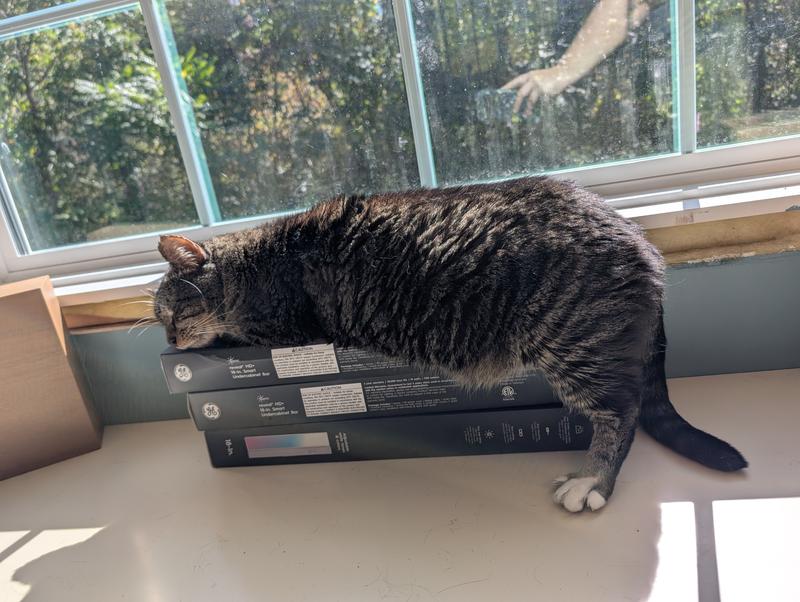 And a stack of cabinet lights...