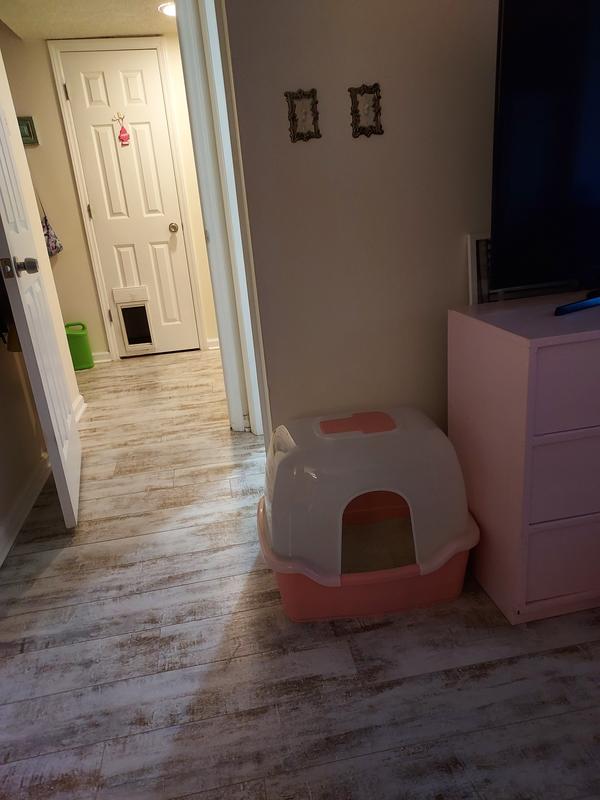 Covered Litter Box
