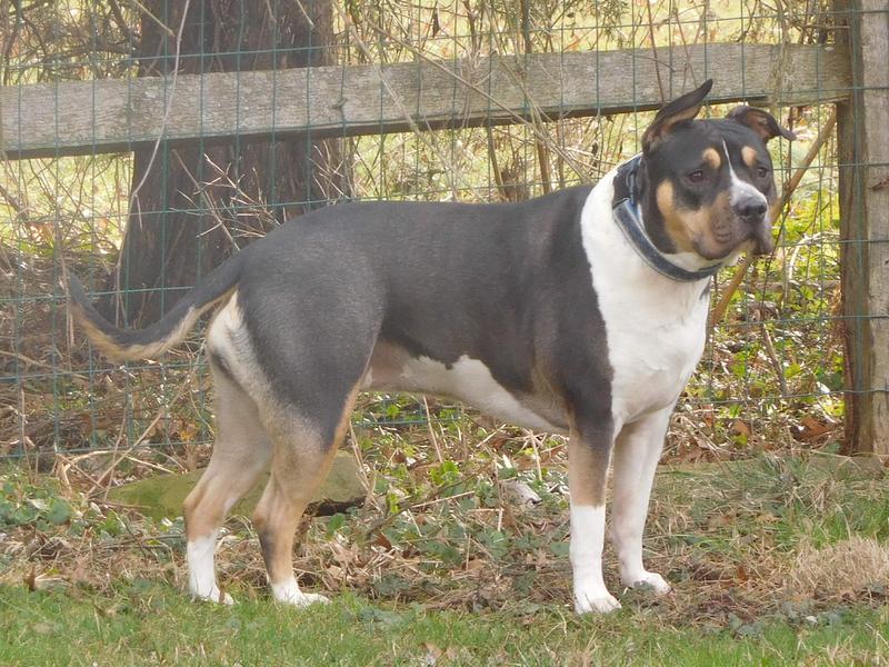 My girl Jett, lookin GOOD!