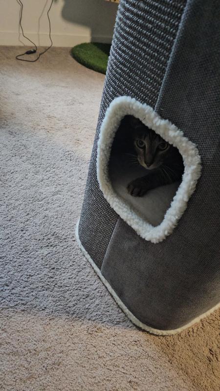 Mini loves his new condo