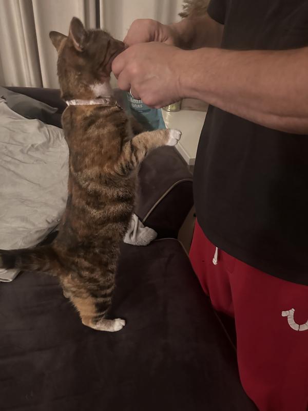 She really wanted some treats