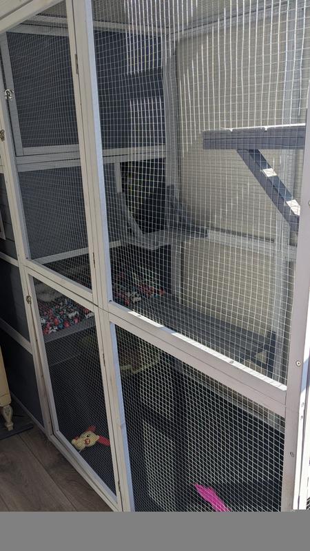 The catio as a whole