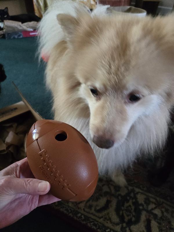 Well put some treats in it!