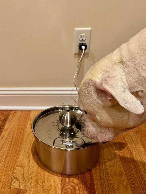gulp!