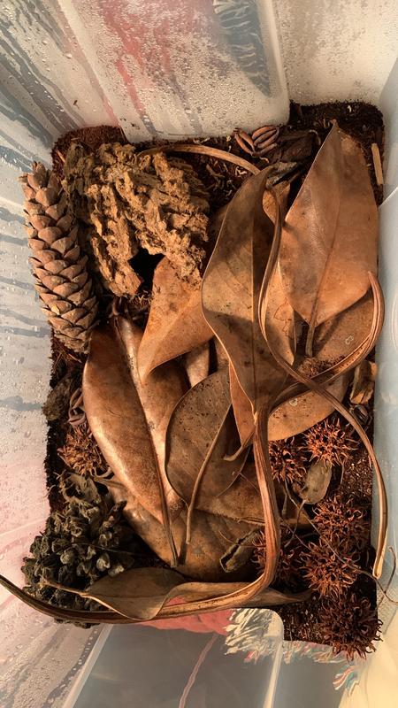 They're not really visible in this picture, but they're there!