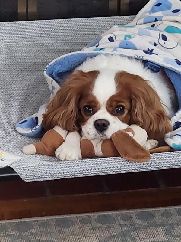 She doesn't approve!