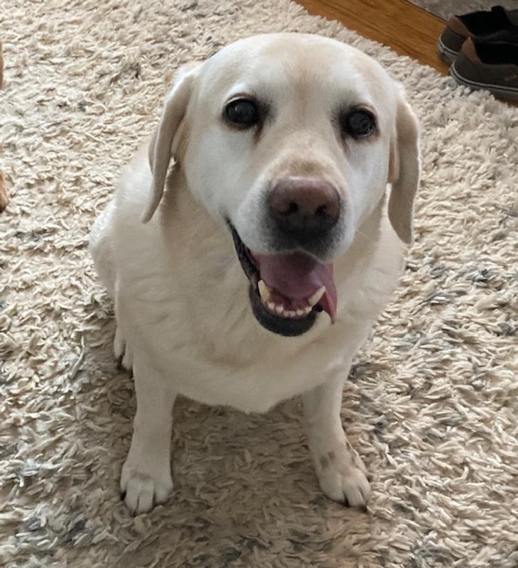 Dried off, happy, and ready for another muddy adventure!