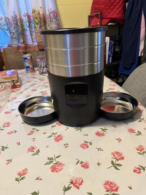 Multiple cats can eat at the same time.