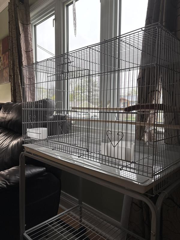 Bird cage