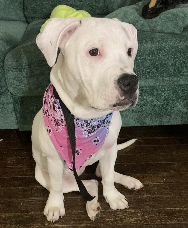 Has sound. Has vibration. Has shock. Different levels.