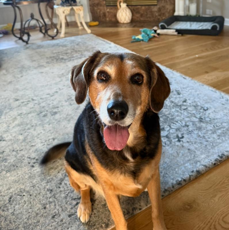 Just saying “hey”