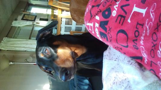 Dobe Lexi girl