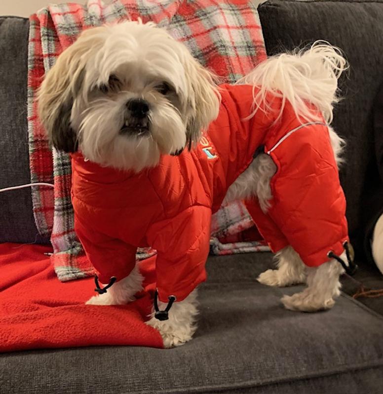 Lulu styling in her new coat!