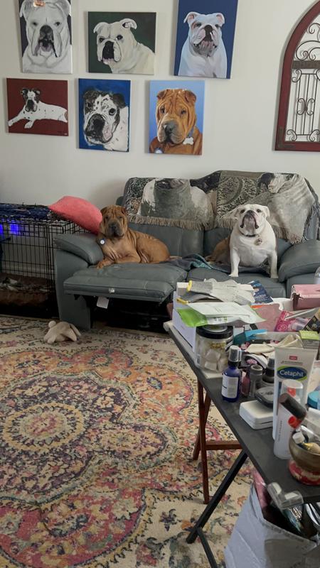 It wasn’t us - we promise!