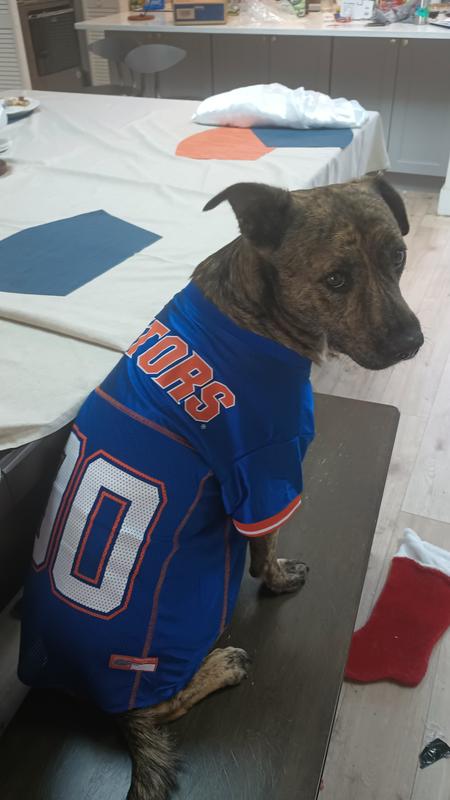 The only time I don't like Bulldogs is Florida-Georgia weekend!  But I hate Wildcats all the time!