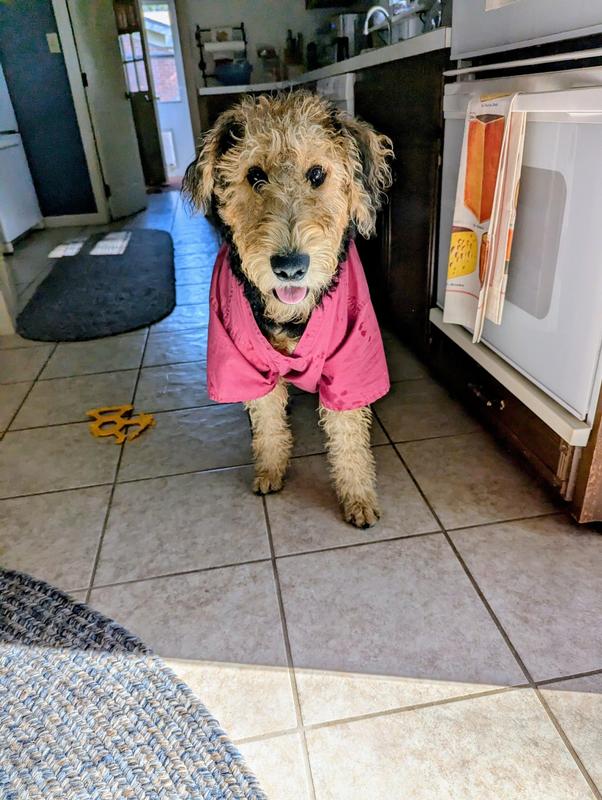 Where's my Marrobone?