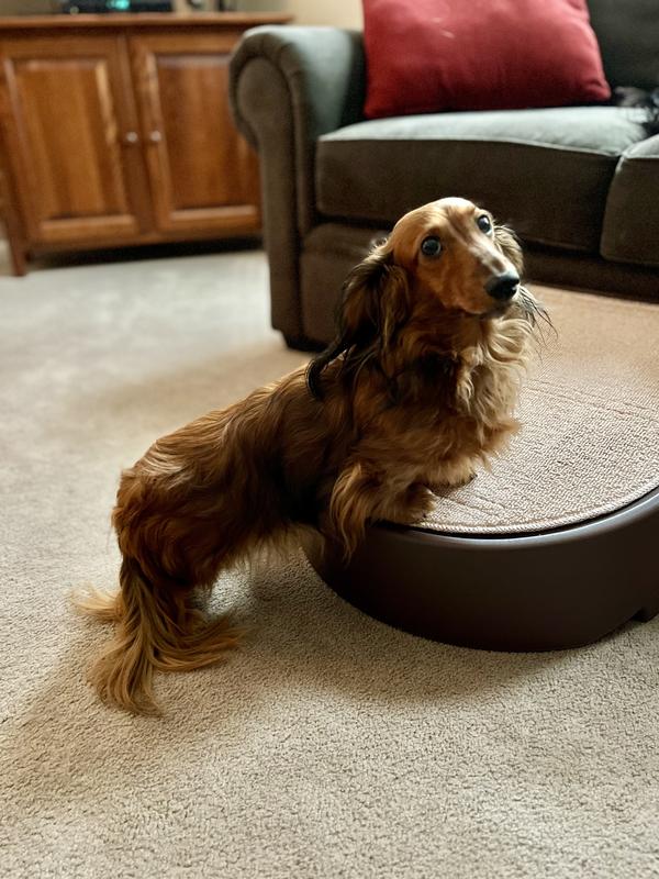 Marisa loves her Easy Step ramp!