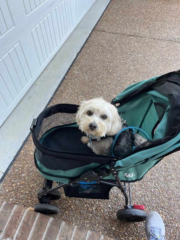 PET GEAR Happy Trails Lite No-Zip Pet Stroller, Pine Green - Chewy.com