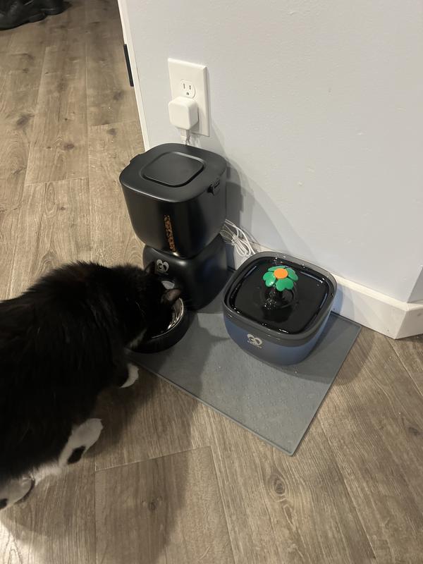 Feeder and fountain