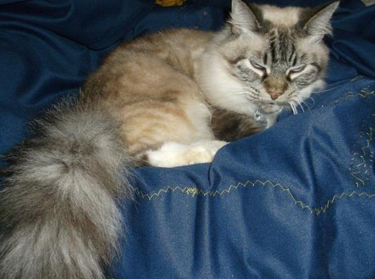 Our sweet little girl