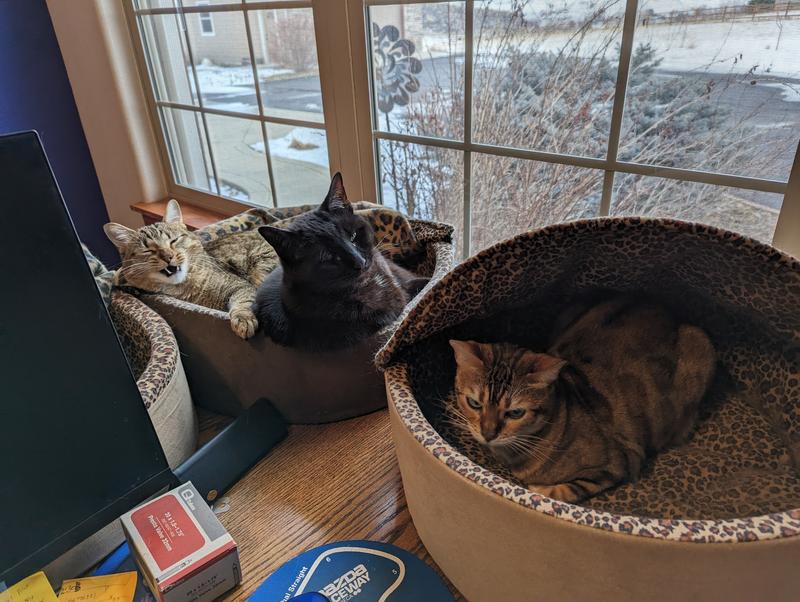 K&H PET PRODUCTS ThermoKitty Bed Deluxe Indoor Heated Cat Bed, Mocha