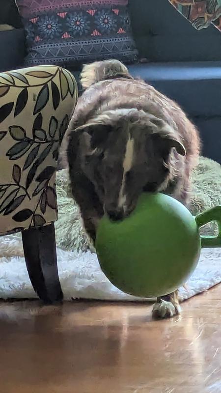 Grrrr, I got you!