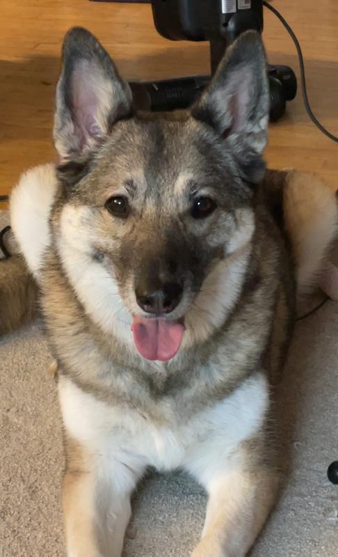 Post-play smiles