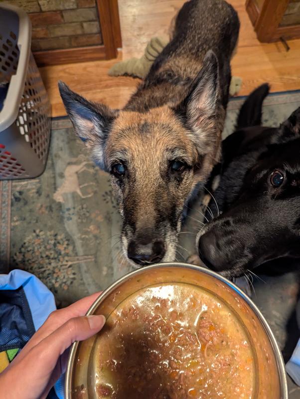 Picky Princess joins in.