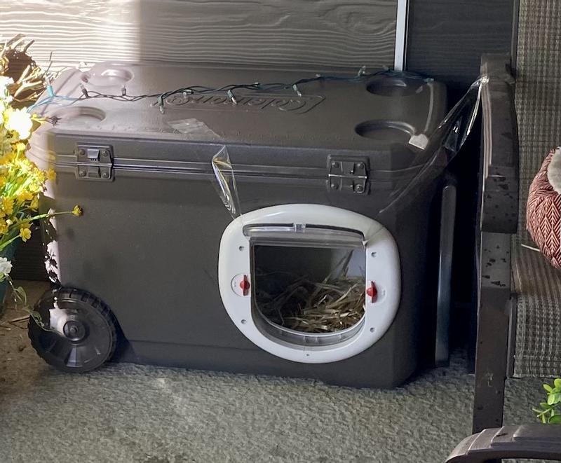 PETSAFE 4Way Locking Cat Door, Up to 25lbs