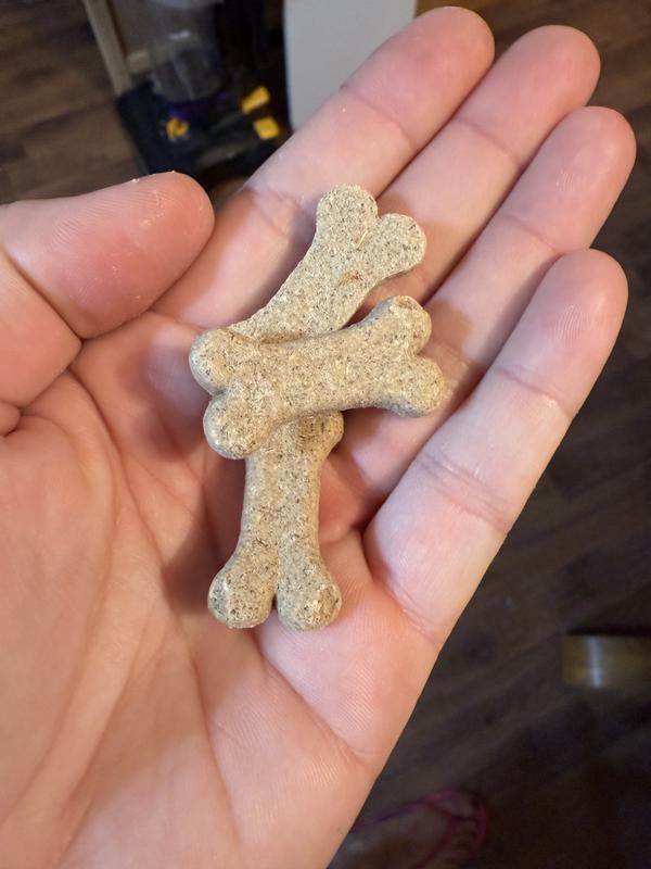 Great size and shape biscuit