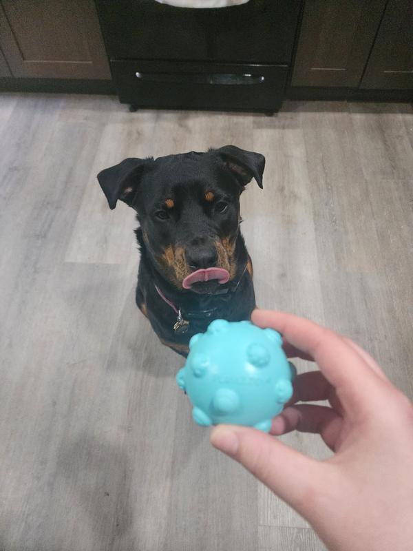 He was already obsessed with it.