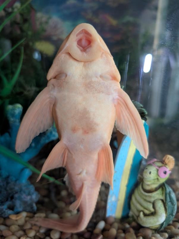 9 days after starting treatment....improving daily!!