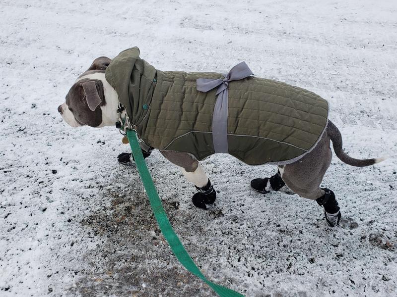 MUTTLUKS Deluxe Winter Dog Boots with Waterproof Fabric, 4 Boots, Black