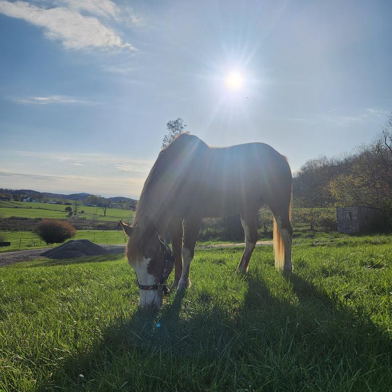 Still recovering but doing well.