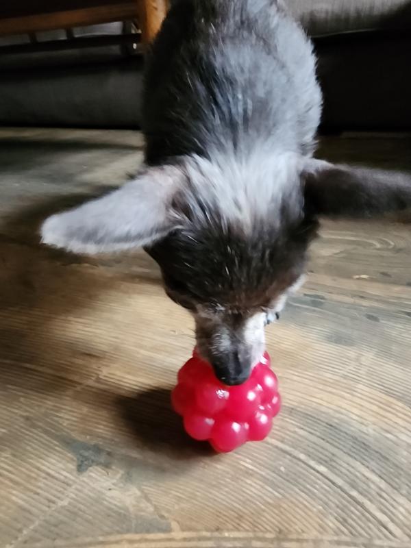Stella sniffin'.