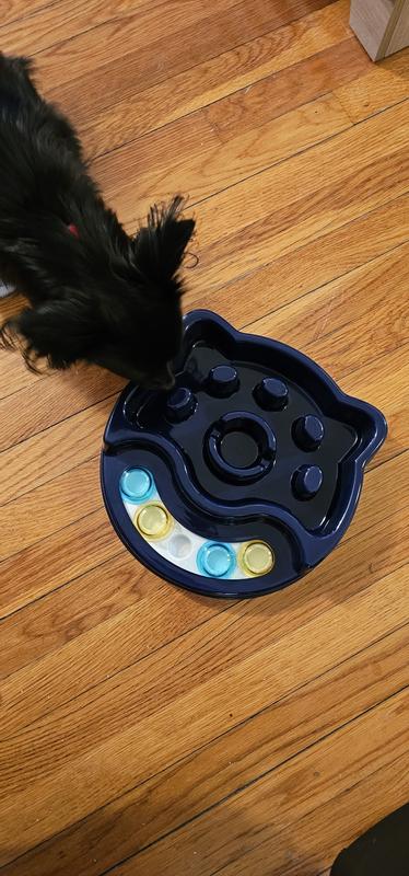 SUNGROW Puzzle Cat, Dog & Small-Pet Maze Feeder & Water Bowl 