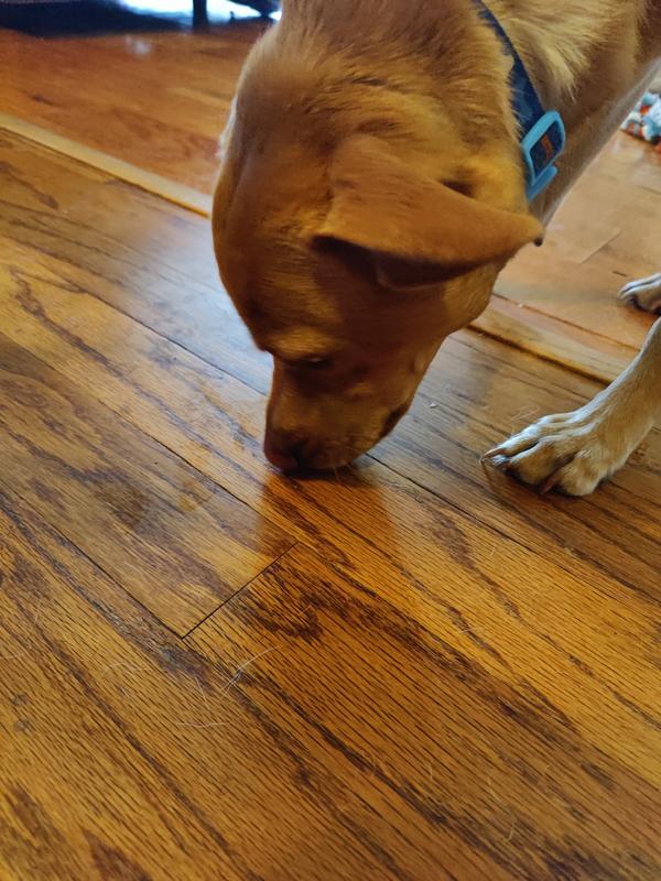 Ate it so fast I couldn't even get a good pic