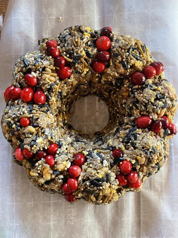 Winter bird wreaths