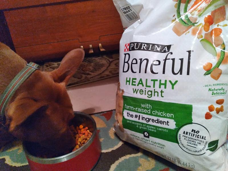 Beneful dog 2024 food healthy weight