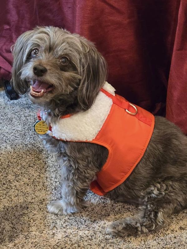 Having a very merry Christmas