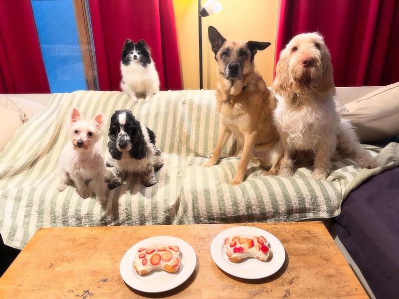 Double Birthday Bash