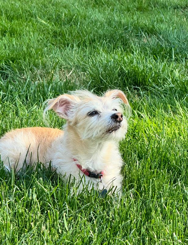 Tucker