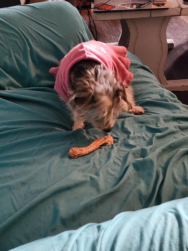 Even little Kallie loved chewing them up