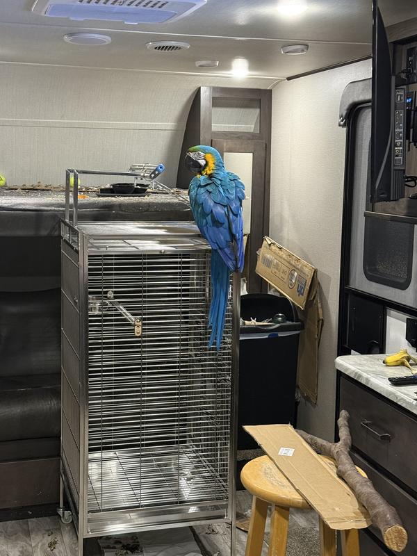 A bit disappointing!