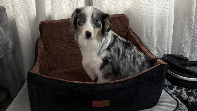 Testing it out inside!