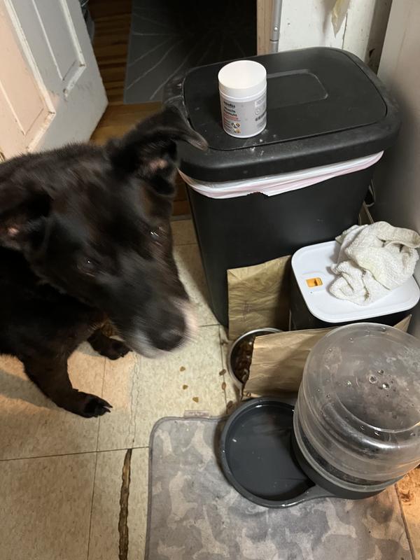 Aniwel muscle formula. /Blue enjoying it