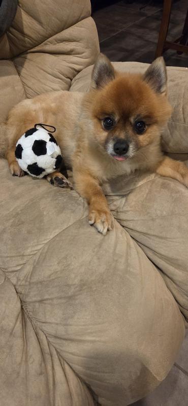 Time for a quick nap