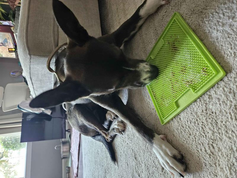 LICKIMAT Classic Soother Slow Feeder Dog Lick Mat, Green