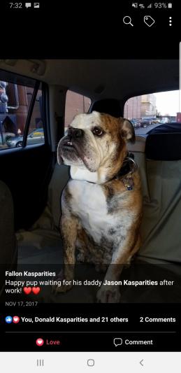 This is Dozer, my grandpuppy.